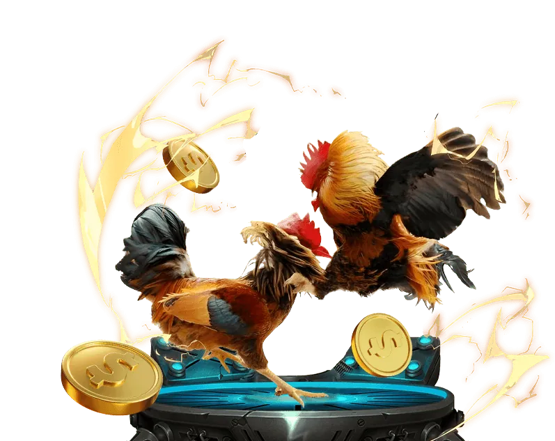 Minh họa hoàn trả nạp tiền hàng ngày